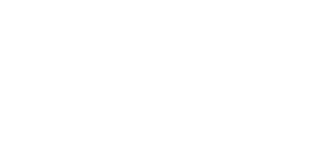 ElfSight Logo
