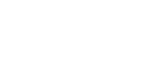 Finli Logo